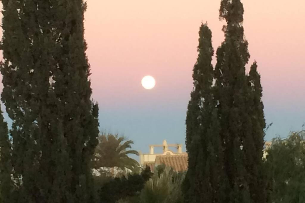 Privates Ferienhaus Villa De Paz - Costa Blanca オリウエラ エクステリア 写真